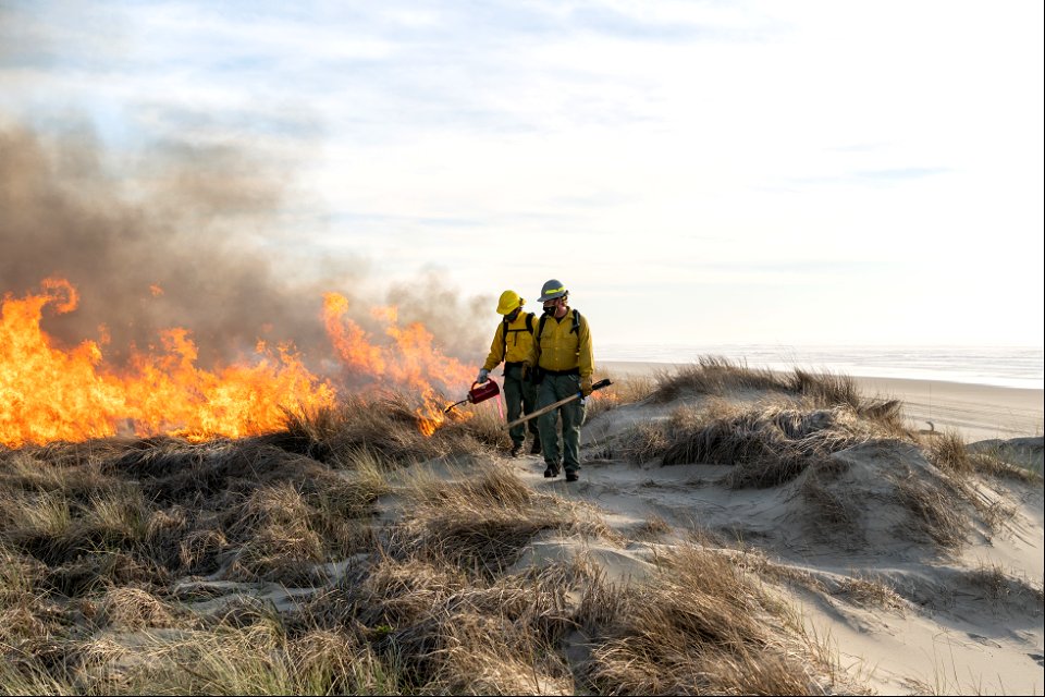 Siuslaw Oregon Dunes Prescribed Burn 2022
