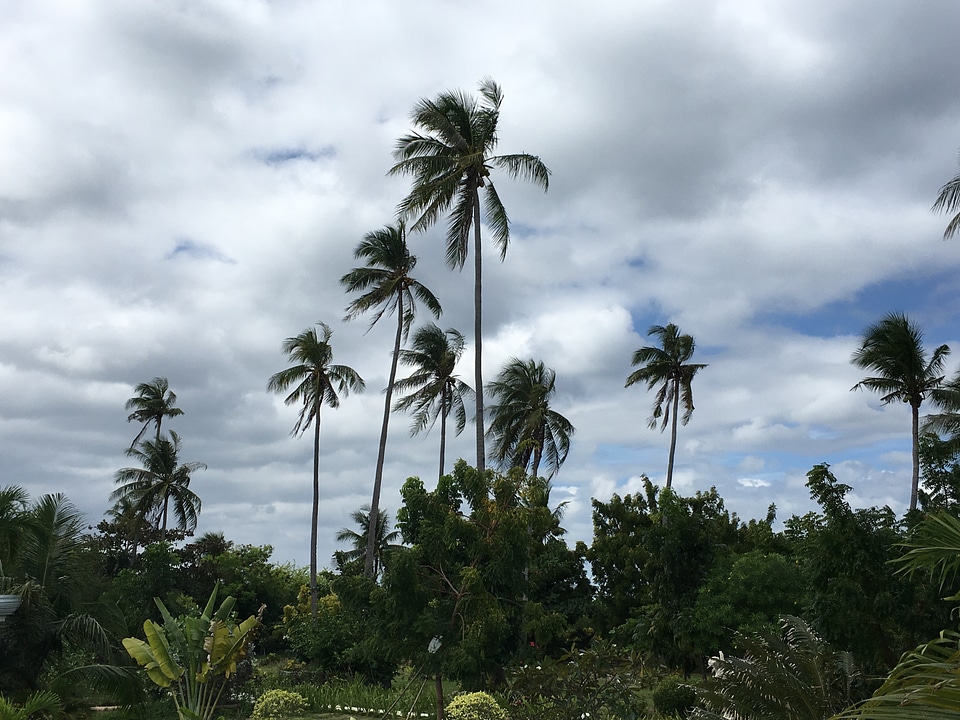Tropical blue sun sea in Philippines. Luxury holiday resort