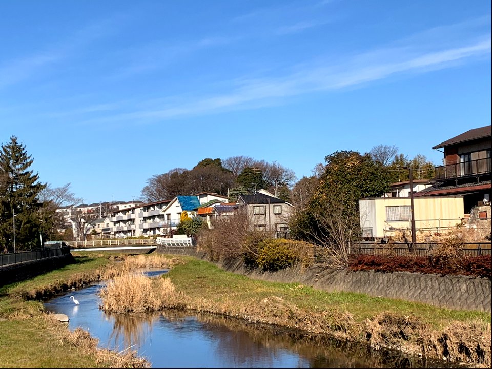 Kurome River in Koyama, Higashikurume-shi