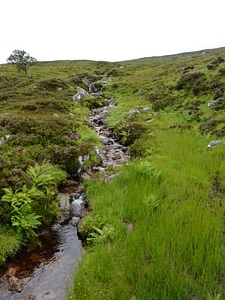 West Highland Way between Bridge of Orchy and Kinlochleven photo