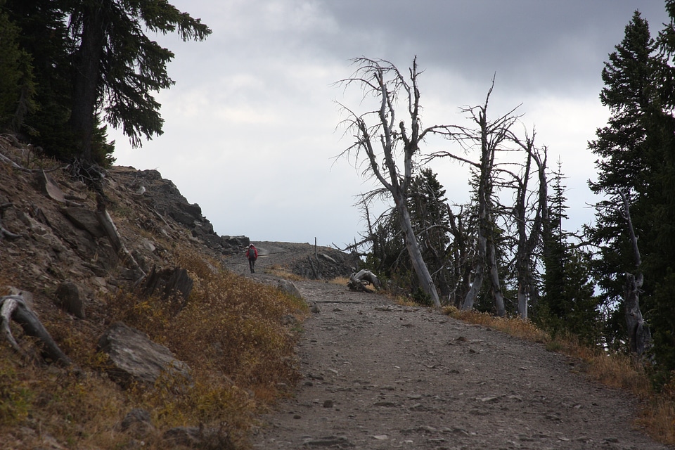 Landscape from the trail to Mt Washburn, Yellowstone Park