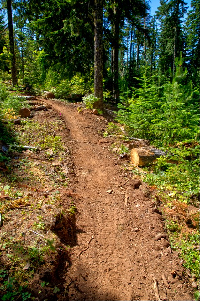 O-Mt Hood OHV Trail-8