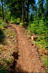 O-Mt Hood OHV Trail-8 photo