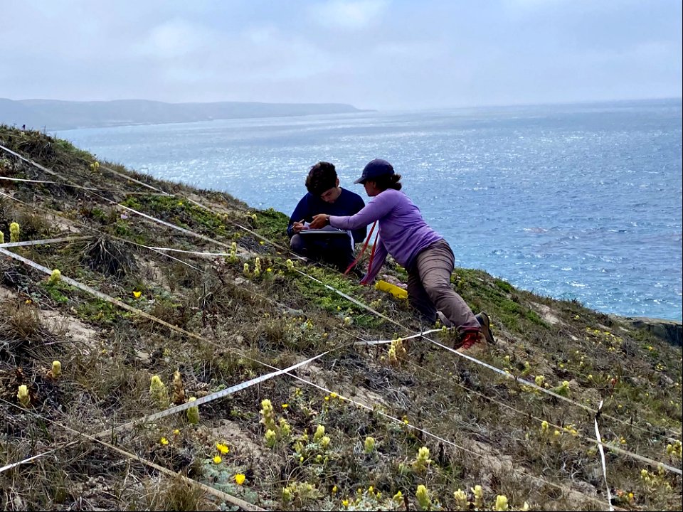 Dr. Kathryn McEachern with U.S. Fish and Wildlife Service intern Daniel Cisneros