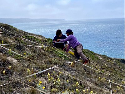 Dr. Kathryn McEachern with U.S. Fish and Wildlife Service intern Daniel Cisneros