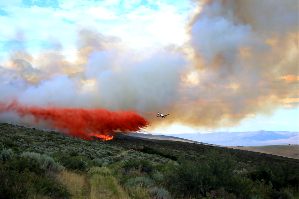 Ross Fork Fire photo