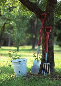 Gardening tools in garden photo