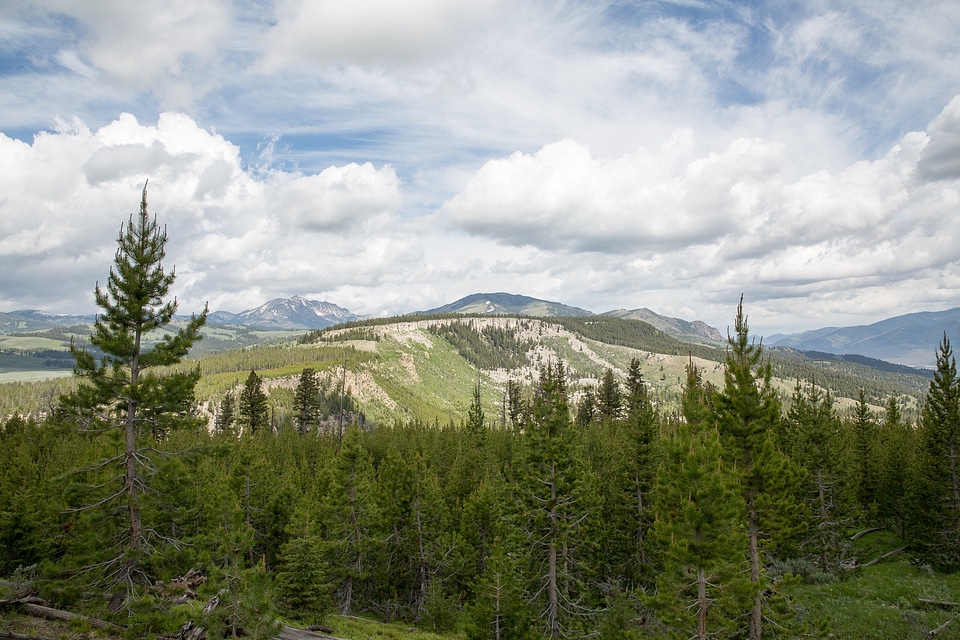 Bunsen Peak Trail. Yellowstone national park