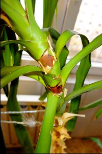 fabulous-foliage_2017_1123_090819