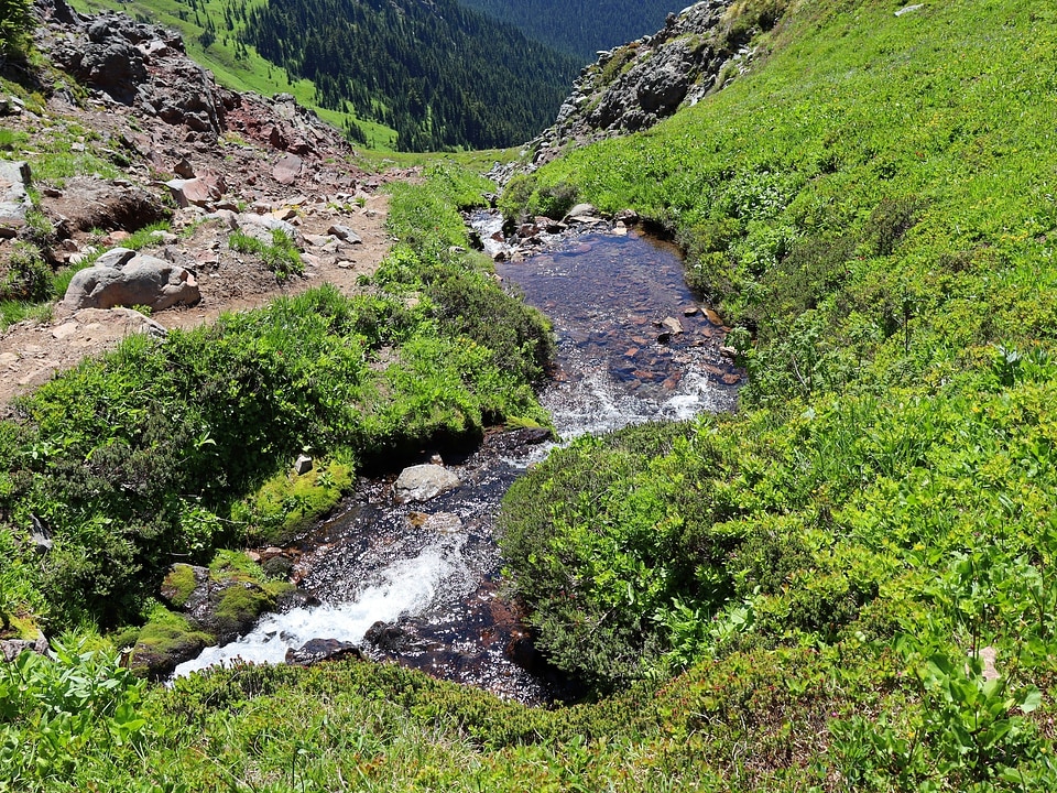 Goat Rocks Wilderness