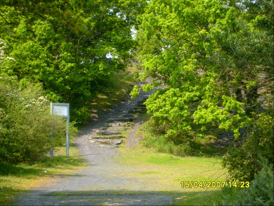 200704_0214