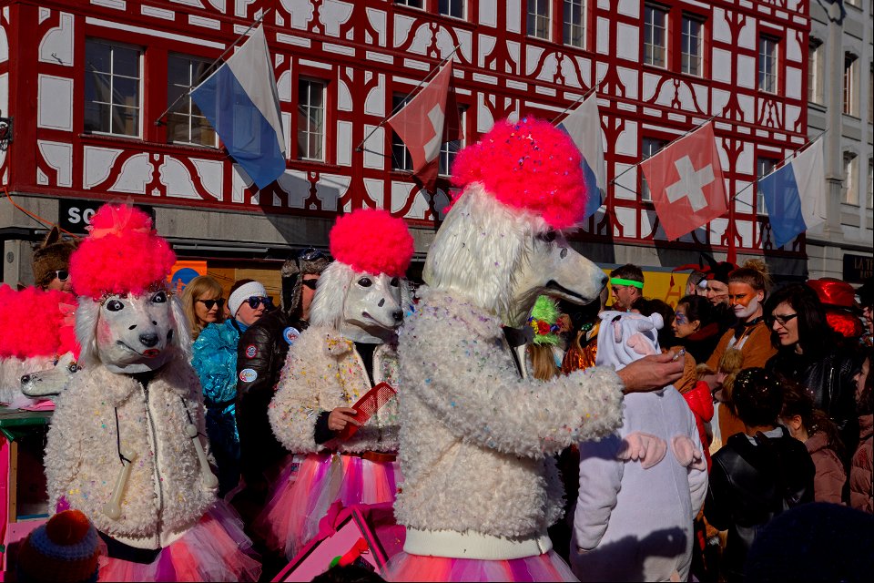 Carnaval de Lucerne