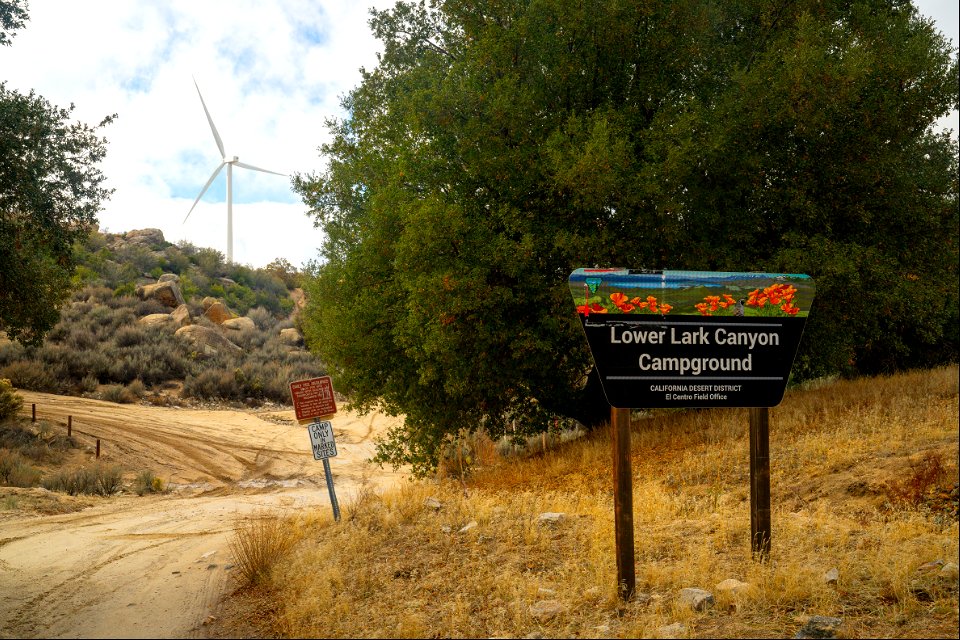 Lower Lark Valley OHV Area at McCain Valley Resource Conservation Area
