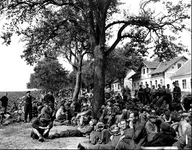 SC 405057 - Rumanian displaced persons on their way home.