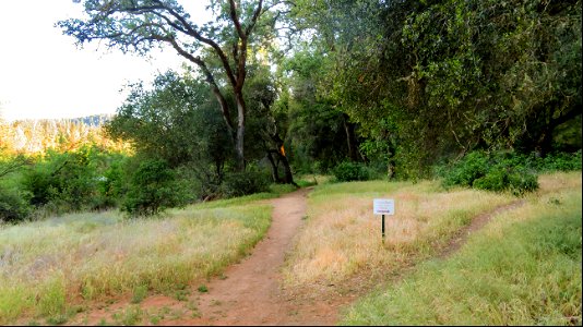 Greenwood Creek Trail, Magnolia Ranch photo
