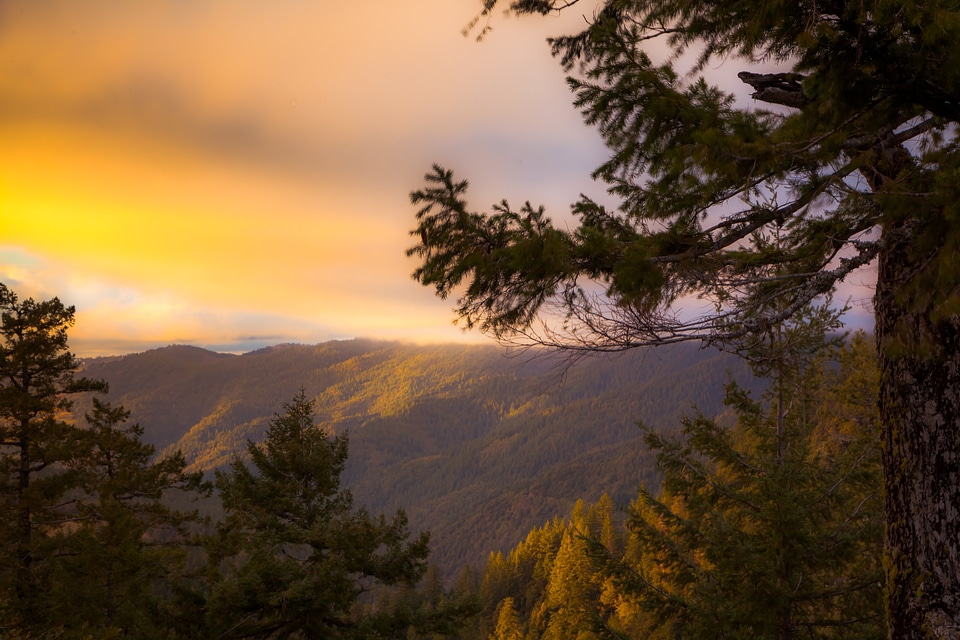 Lacks Creek watershed northwest of Arcata, Calif