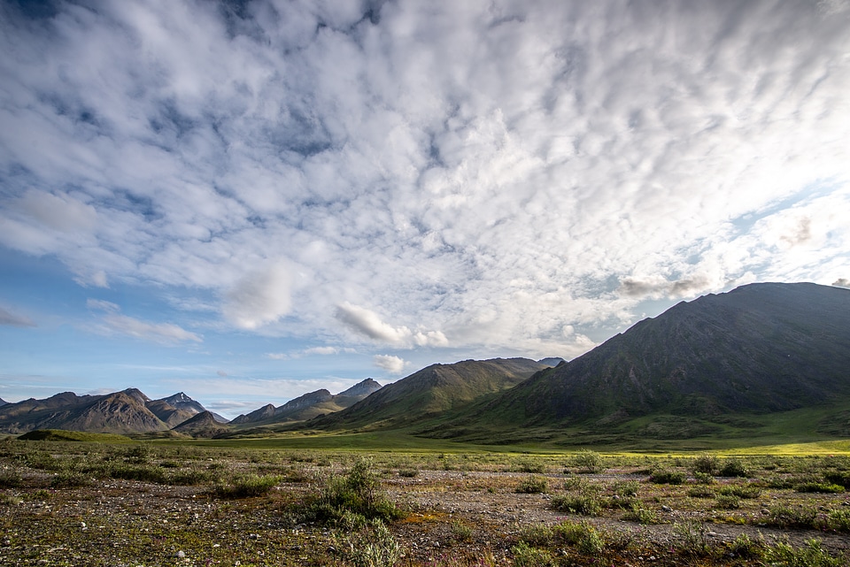 Arctic National Wildlife Refuge