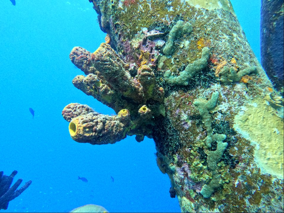 Pylon Salt Pier Bonaire