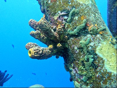 Pylon Salt Pier Bonaire