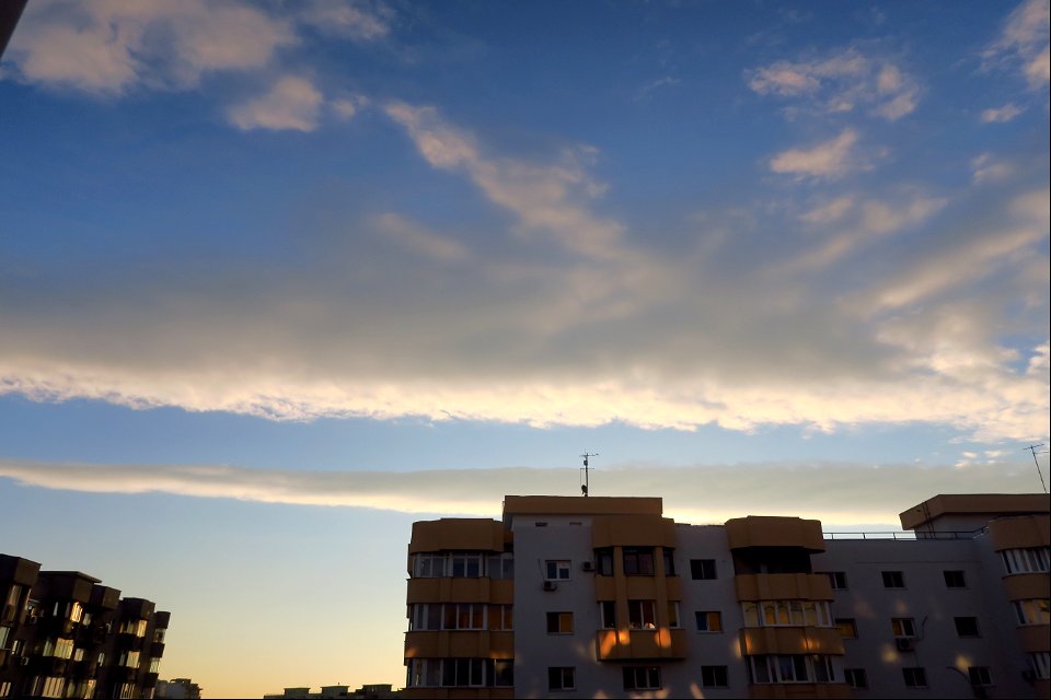 nori-vant_Vitan2016_1113_170839