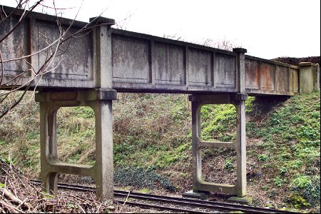 Medway Valley Line Secret Footbridge photo