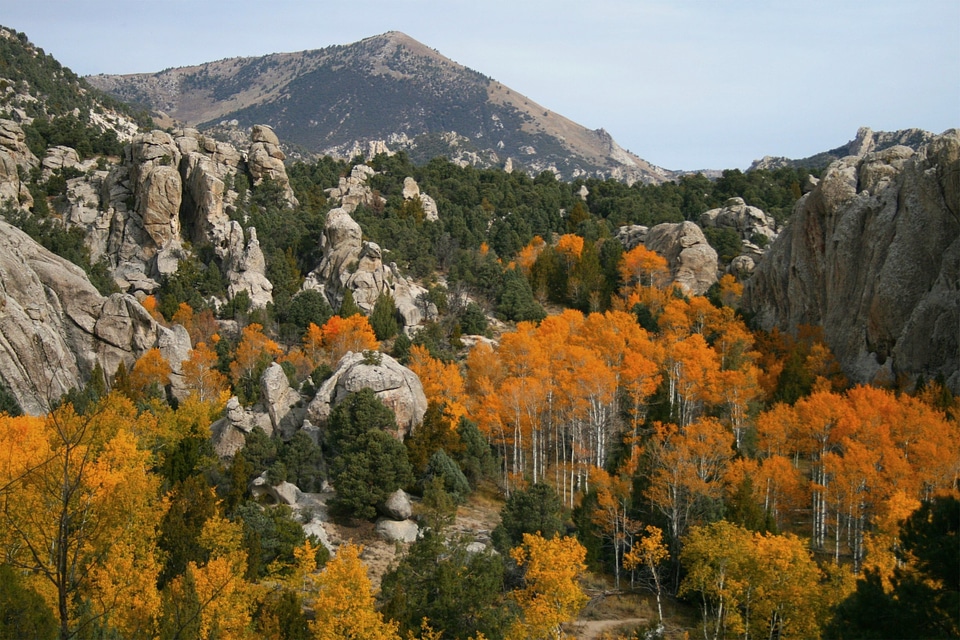 Scenic View City Of Rocks National Reserve