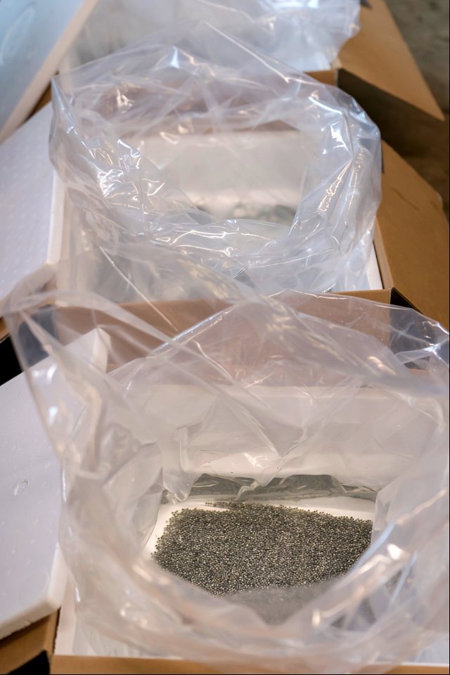 Shipping Pallid Sturgeon Eggs
