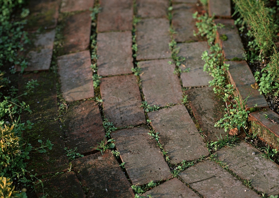 Patterned brick walkway