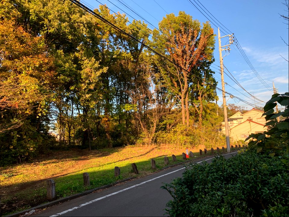 Koyama, Higashikurume-shi in November