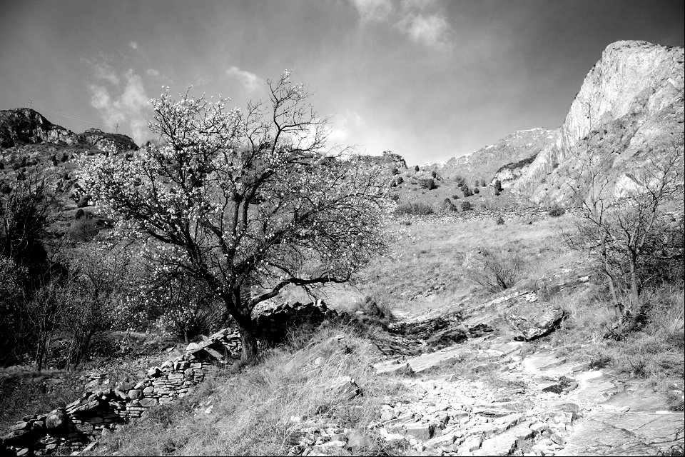 End of winter mountain scene