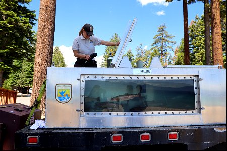 Stocking Lake Tahoe with Lahontan cutthroat trout