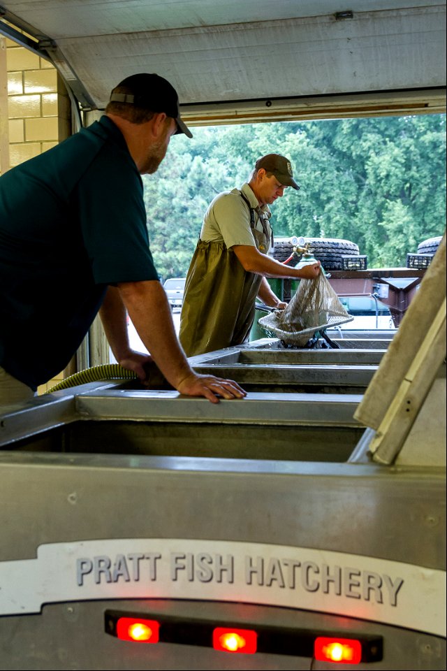 Transferring Paddlefish from the USFWS to the State of Kansas