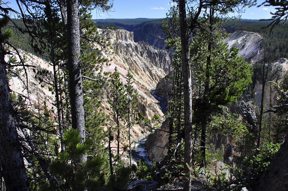Magnificent falls in a canyon of Yellowstone national park
