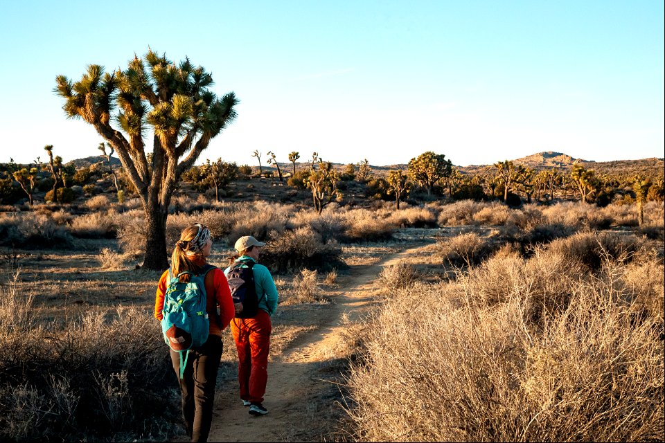 Hiking the Covington Crest trail
