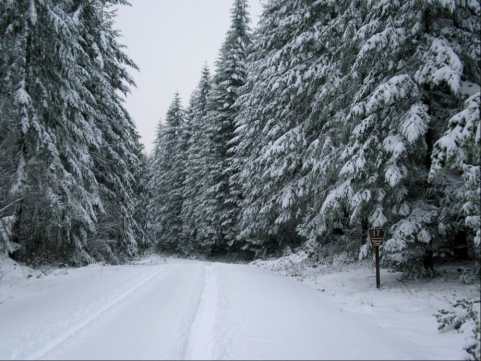 roadsnowjpg_49364786677_o