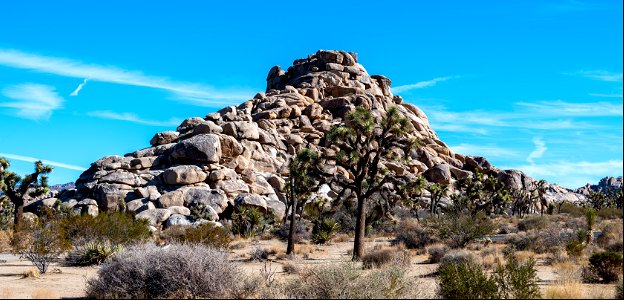 Joshua Tree National Park