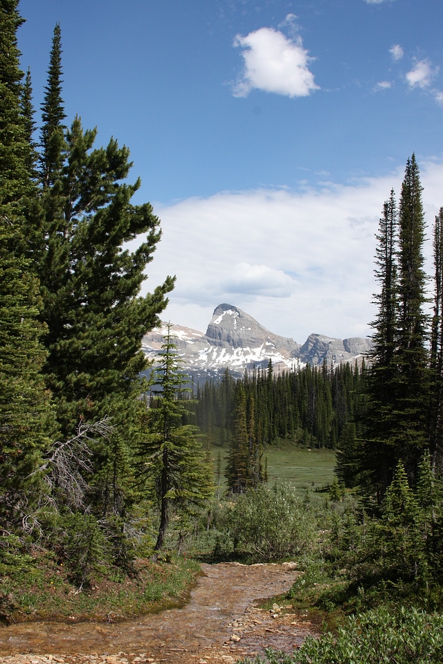 Canadian Rockies in Yoho National Park, British Columbia, Canada
