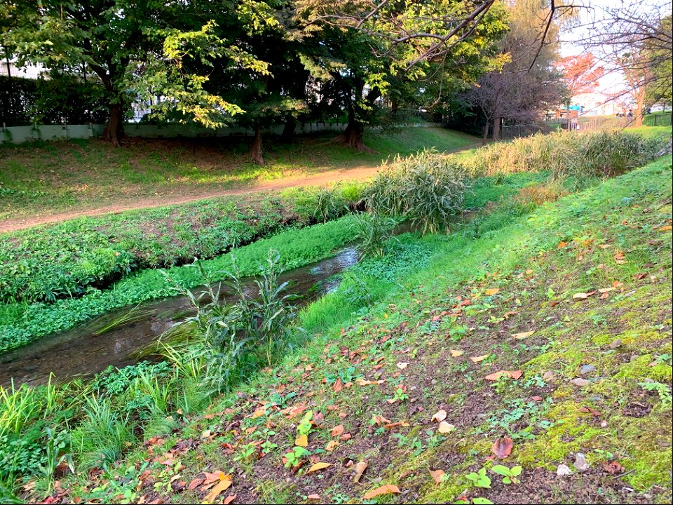 Kurome River in Shinyama Waterside Plaza, Higashikurume-shi