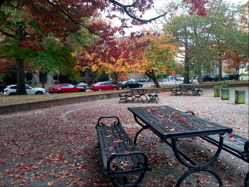 Walter Pierce Park