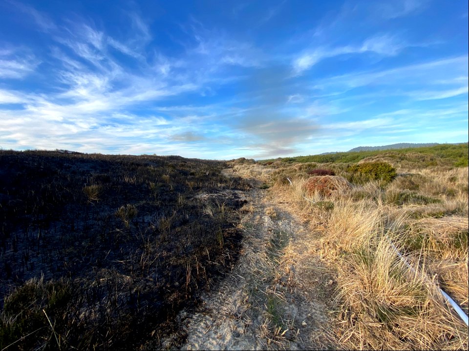 Siuslaw Oregon Dunes Prescribed Burn 2022 photo