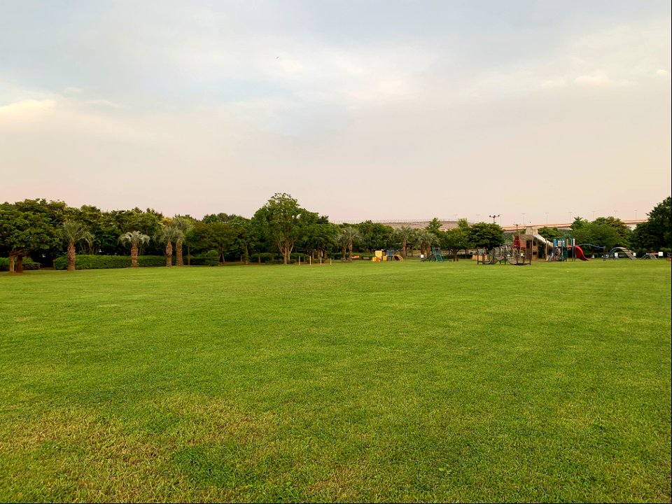 Wakasu Seaside Park in Koto-ku photo