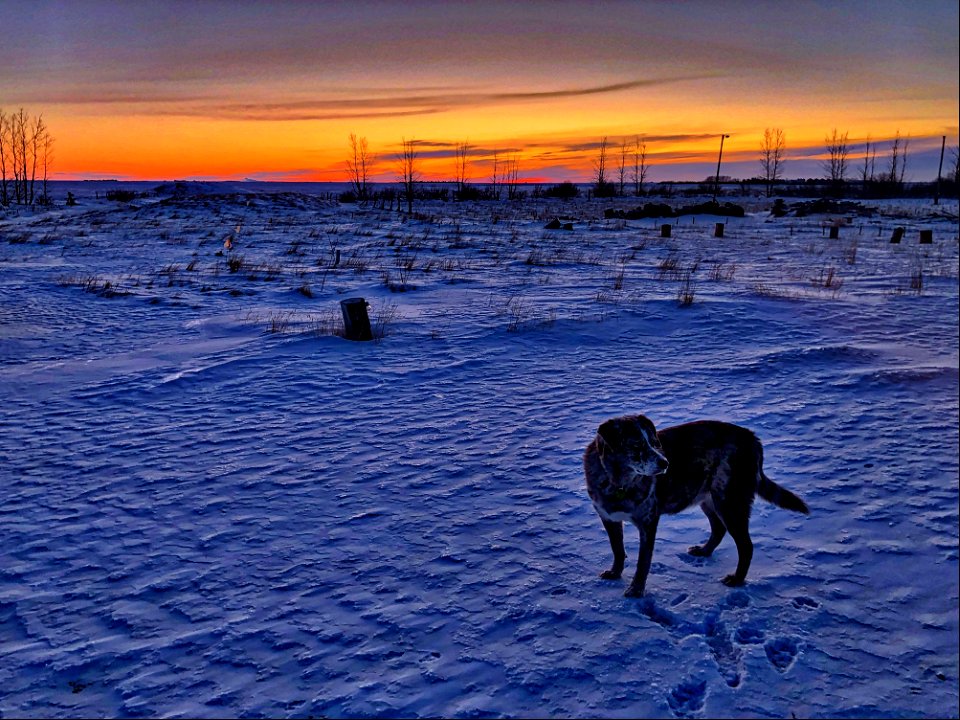 2023/365/30 The Surreal Morning Snowscape