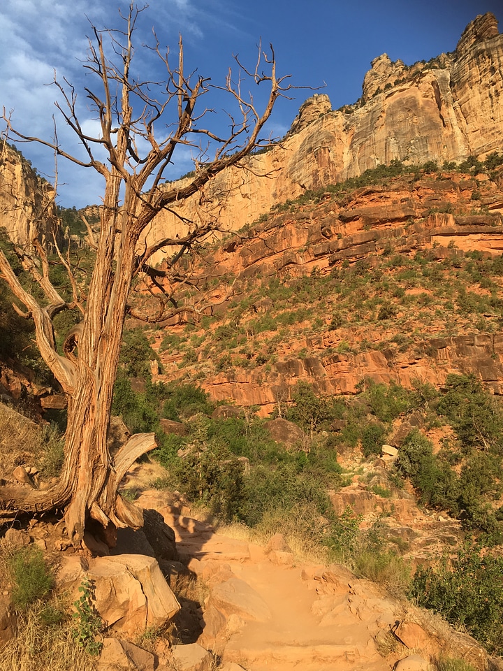 Grand Canyon south rim - Kaibab Trail