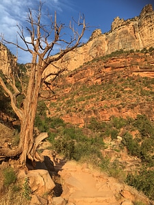 Grand Canyon south rim - Kaibab Trail photo