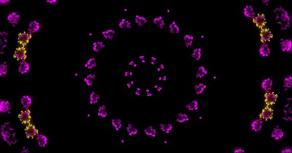 Kaleidoscope211210184610