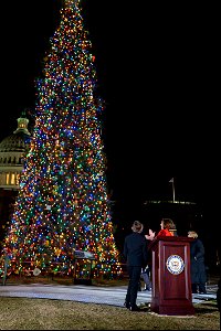 CapitolXmasTreeLighting-WashingtonDC-038