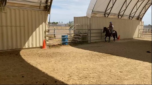 Hunter canter left