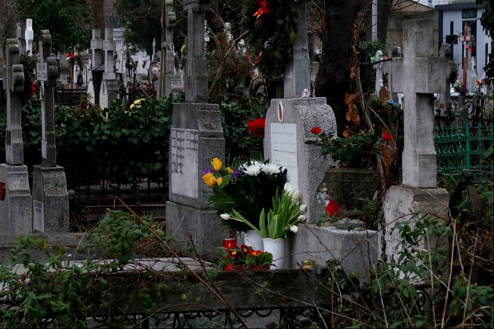 cimit_SfVineri2023_0225_140432(1)
