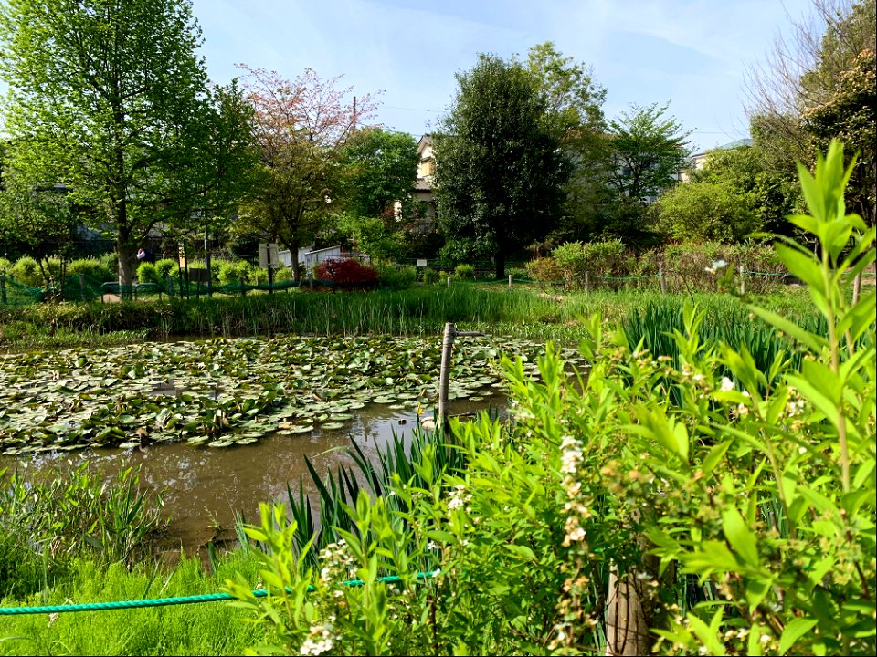 Ochiaigawasuisei Park
