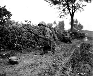 SC 270819 - Pvt. Nicholas Pappas of Canton, Ohio, peers through a hedge as his company advances towards a pillbox along the Siegfried Line. photo